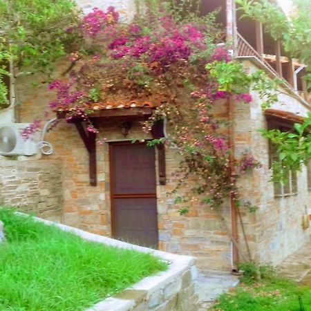 Margis Studio Ξινόβρυση Εξωτερικό φωτογραφία