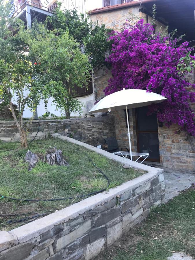 Margis Studio Ξινόβρυση Εξωτερικό φωτογραφία