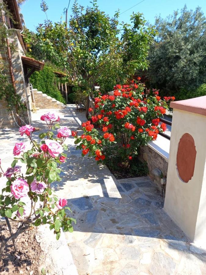 Margis Studio Ξινόβρυση Εξωτερικό φωτογραφία